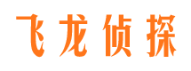 罗城市侦探调查公司